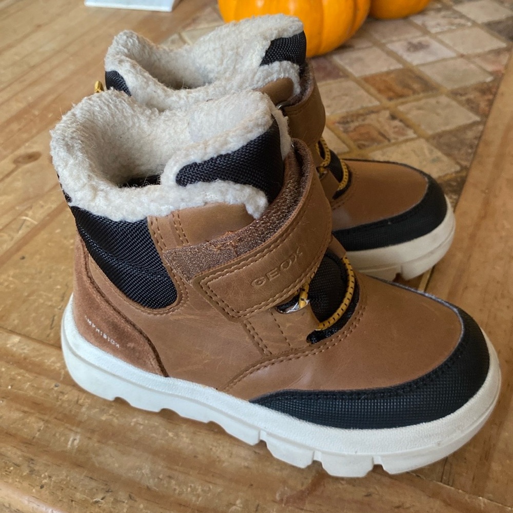 Geox ankle boots